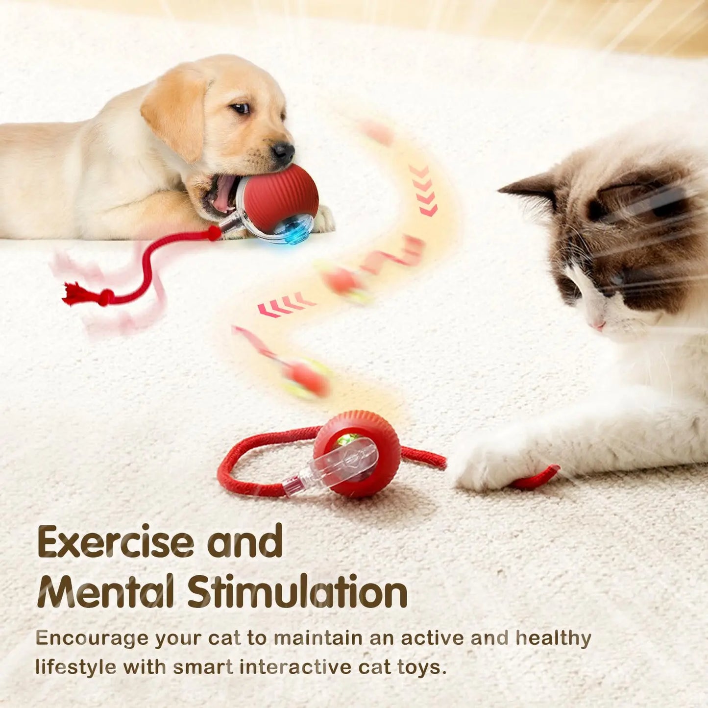Nexora Interactive Rolling Cat Toy – Rechargeable Automatic Rotating Ball with Moving Tail for Cats