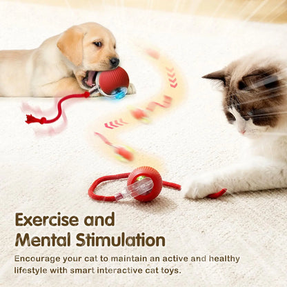 Nexora Interactive Rolling Cat Toy – Rechargeable Automatic Rotating Ball with Moving Tail for Cats