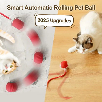 Nexora Interactive Rolling Cat Toy – Rechargeable Automatic Rotating Ball with Moving Tail for Cats